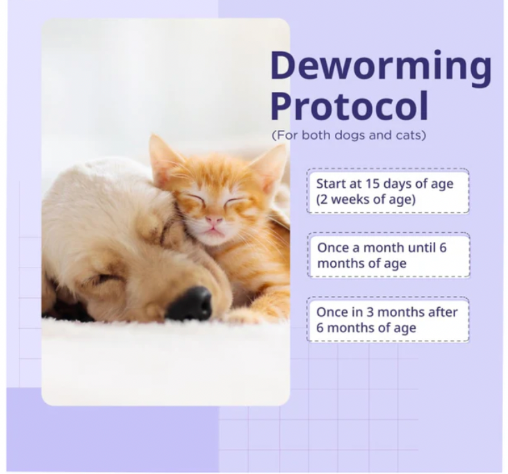 Savavet Kiwof Cat Deworming Tablet (pack of 10 tablets)