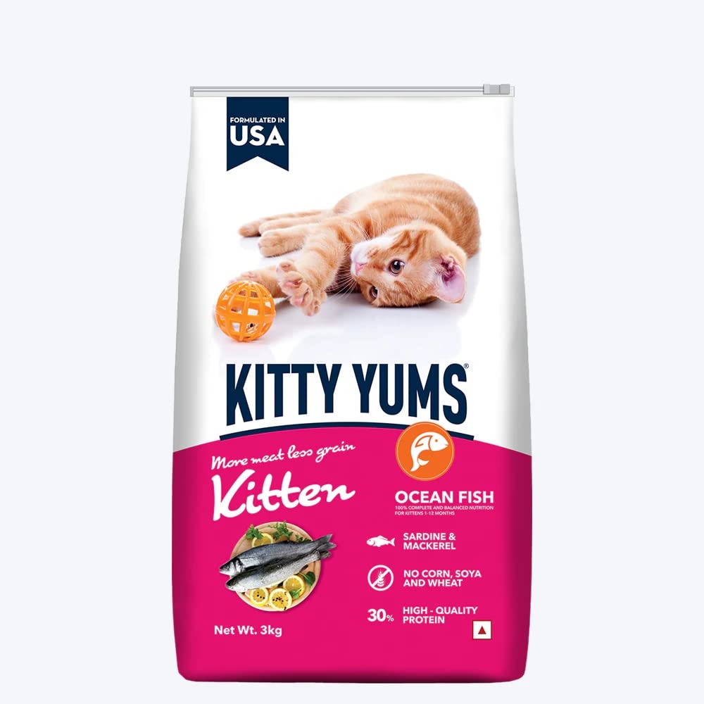 Kitty Yums kitten Ocean Fish