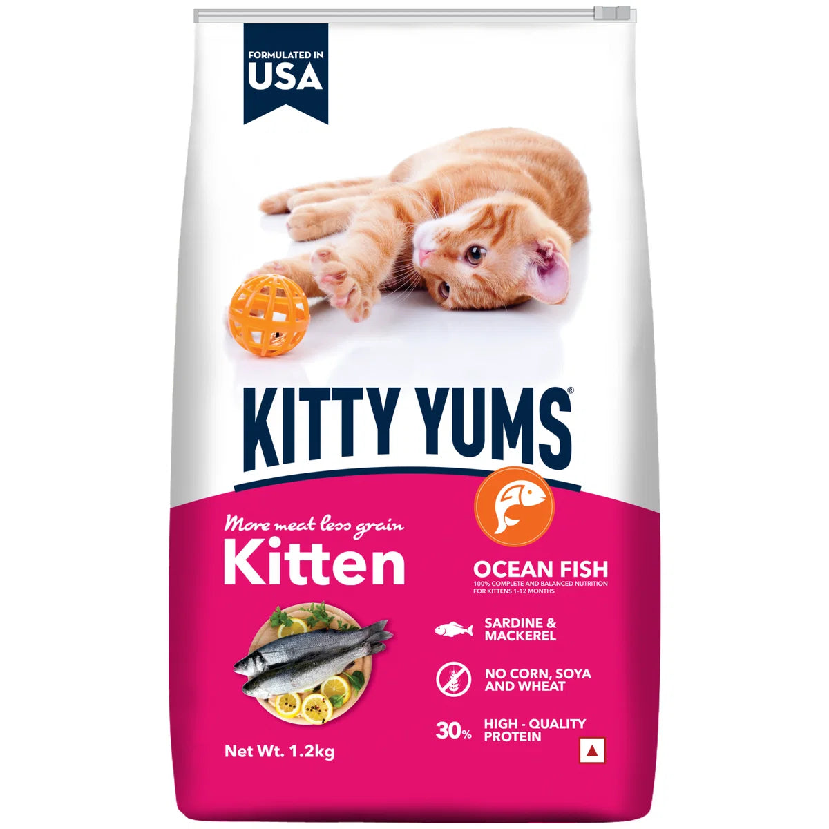 Kitty Yums kitten Ocean Fish