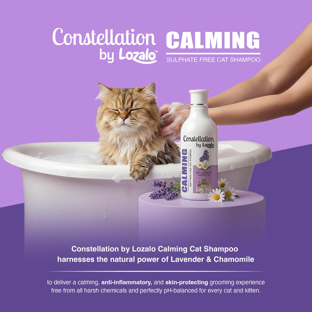 Constellation Claming by Lozalo shampoo