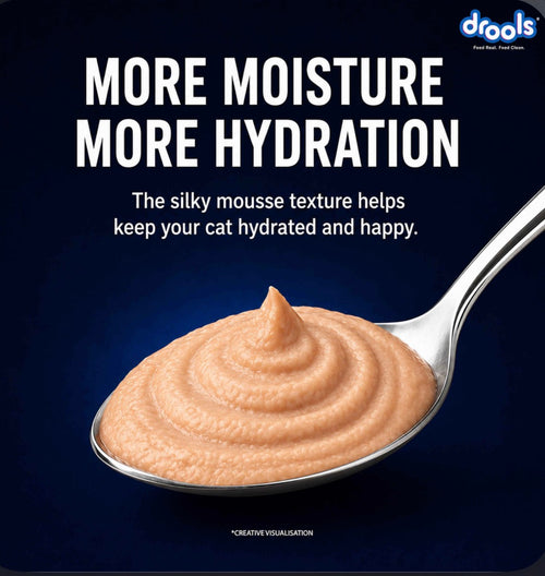 Drools Mousse Wet Cat Food – Creamy & Delicious Complete Meal for Cats