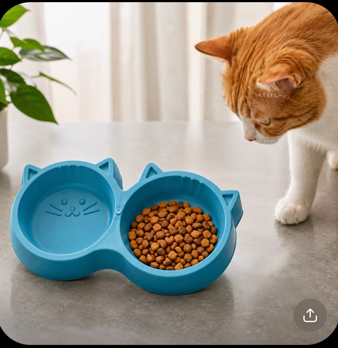 LP Plastic Cat & Dog Bowl – Medium | Lightweight Pet Food & Water Bowl